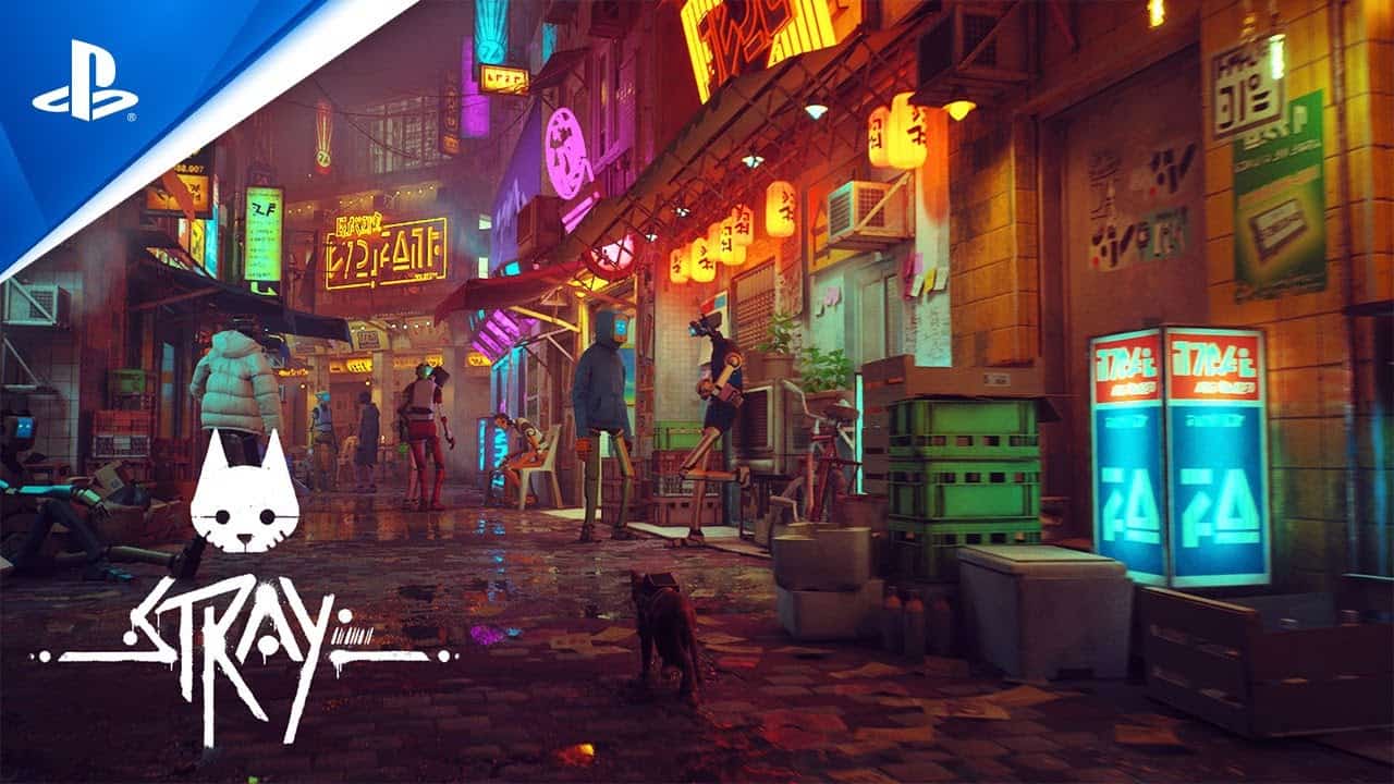 Stray Oyununda Battaniye Nasıl Alınır?
