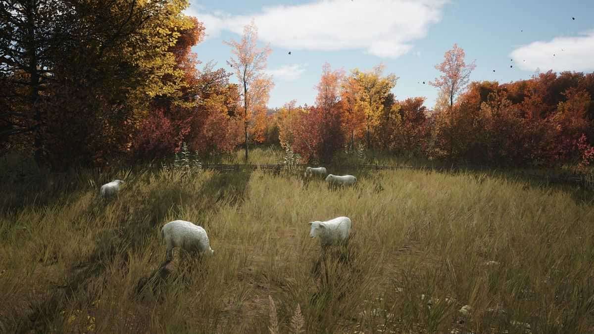 Manor Lords Koyun (Sheep) Rehberi: Nasıl Edinilir?