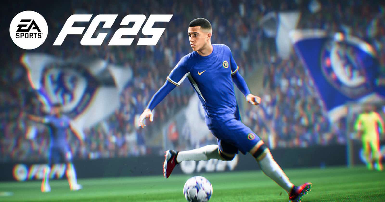 FC 25 Kontrol Cihazı Ayarları