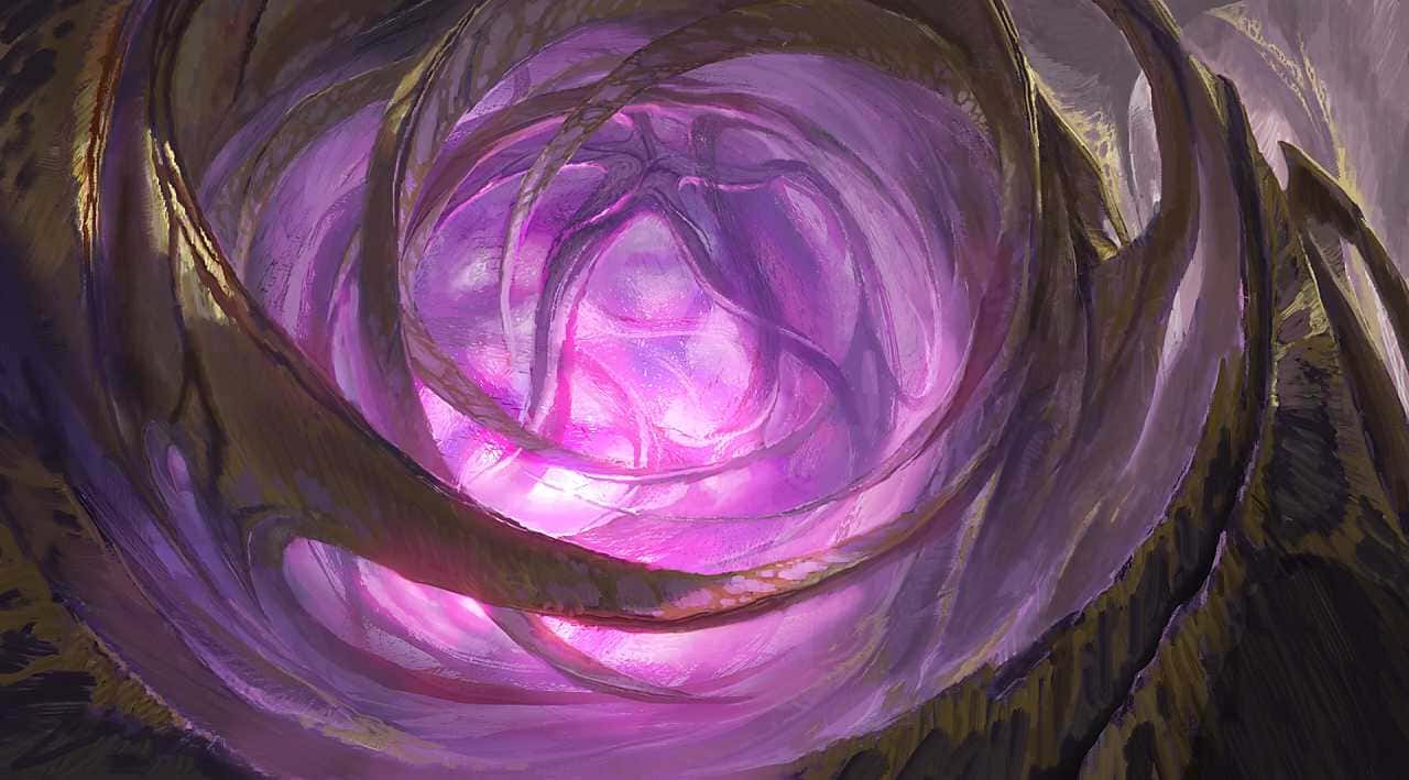 void jungle 1+1