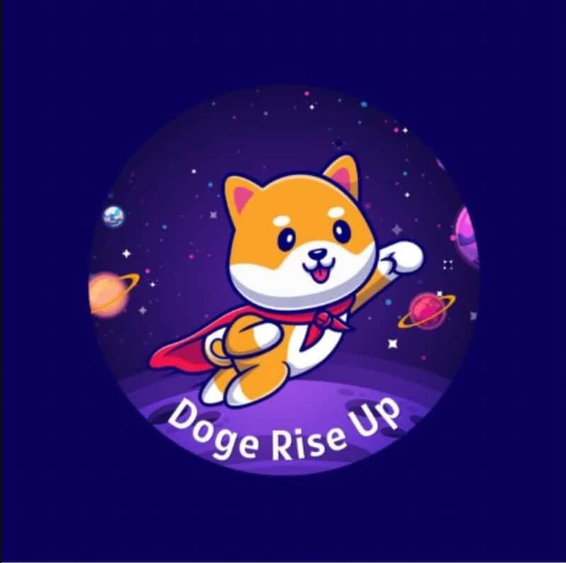 Doge Rise Up Metaverse game