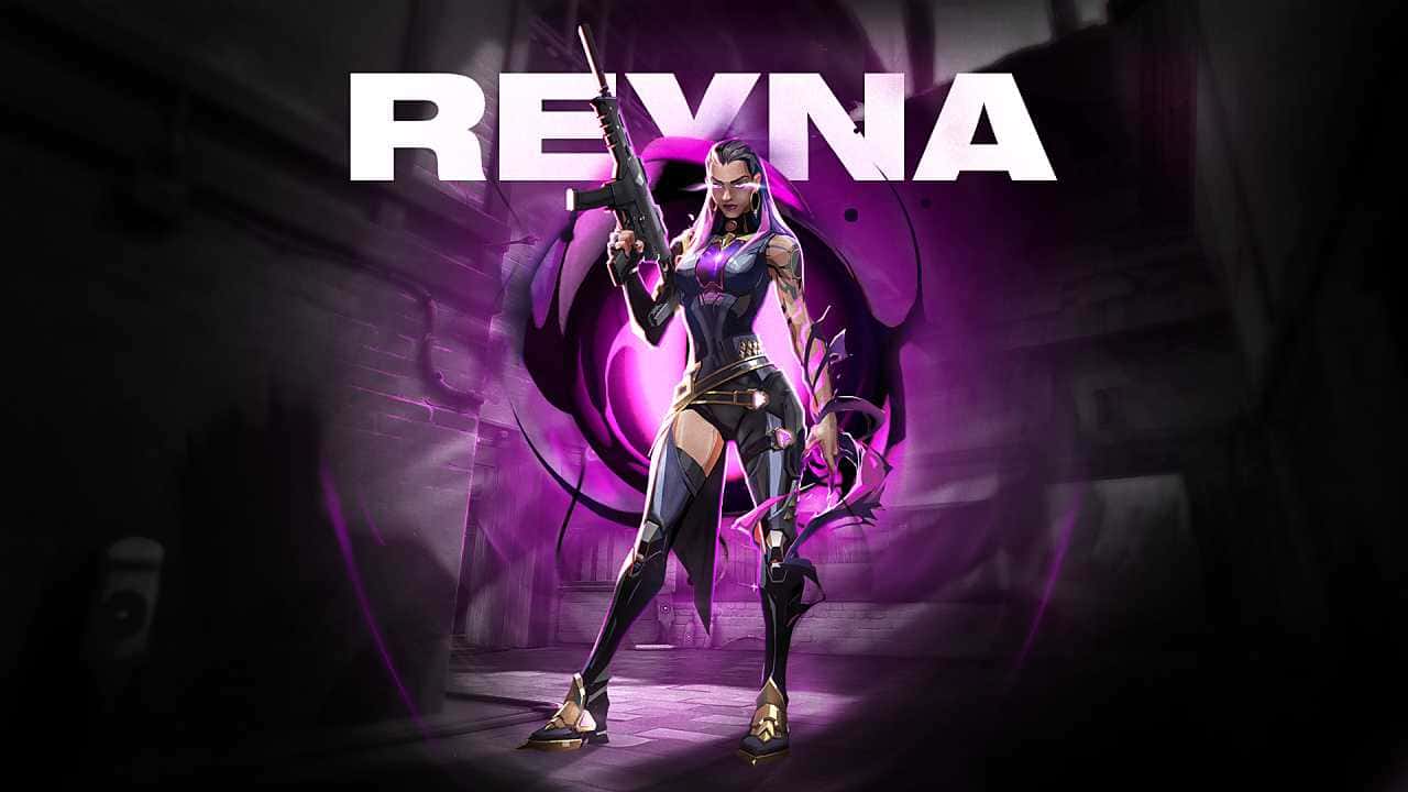 reyna rehber 1