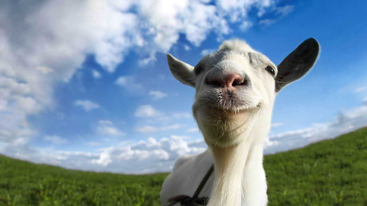 Steam Eğlenceli Oyunlar: Goat Simulator