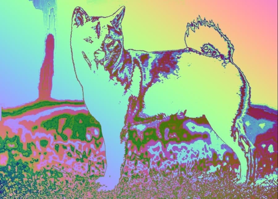 Shiba Land Shiba metaverse (Özel)