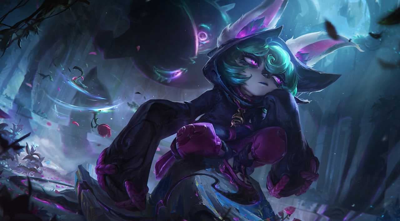 vex rehber 1+1