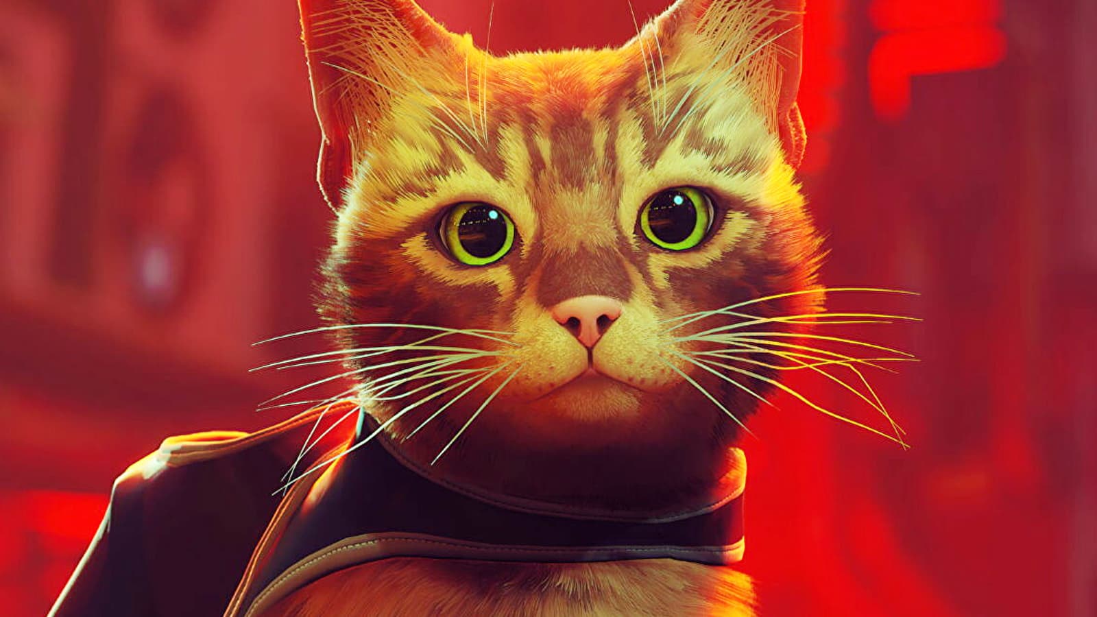 Stray Güvenlik Kodları