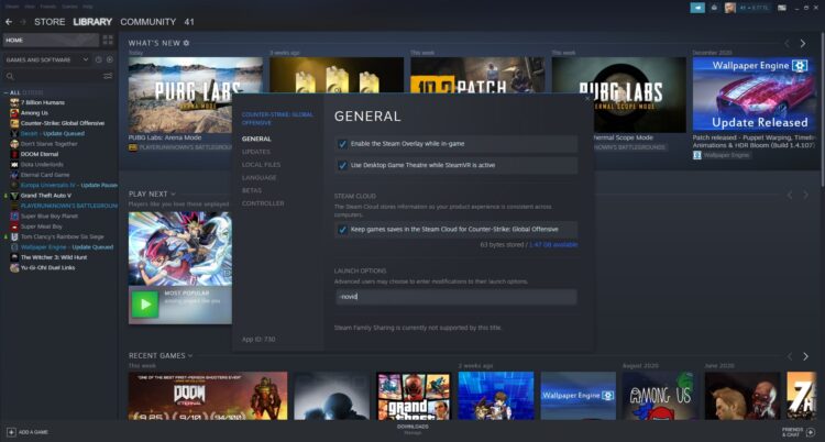 cs go başlatma seçenekleri 2021