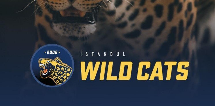 İstanbul Wildcats Espor