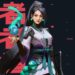 Valorant Sage 2.07