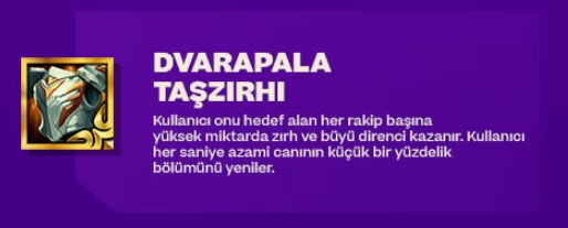 Dvarapala Taşzırhı