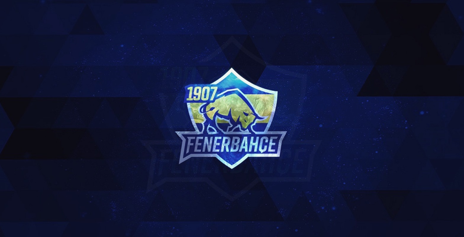 1907 Fenerbahçe Espor