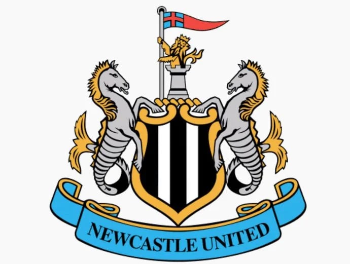 FIFA 22 Premier League Newcastle