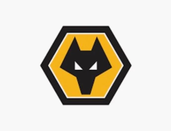 FIFA 22 Premier League Wolves