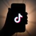 TikTok'ta Bir Videonun Yeniden Paylaşımı Nasıl Kaldırılır?