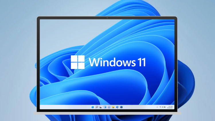 windows 11