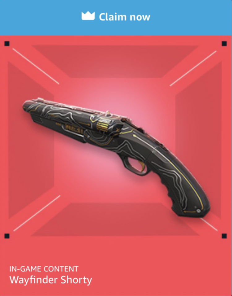 VALORANT Yol Bulucu Shorty