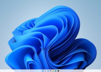 Windows 11'de Otomatik Güncellemeler Nasıl Devre Dışı Bırakılır?