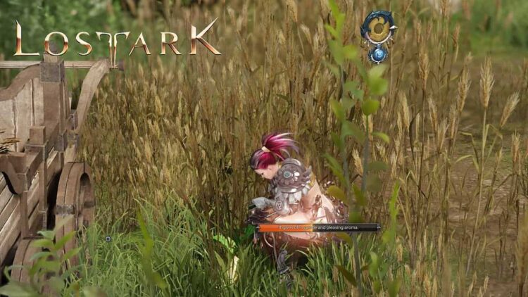 Lost Ark Mokoko Seeds Konumları ve Ödülleri