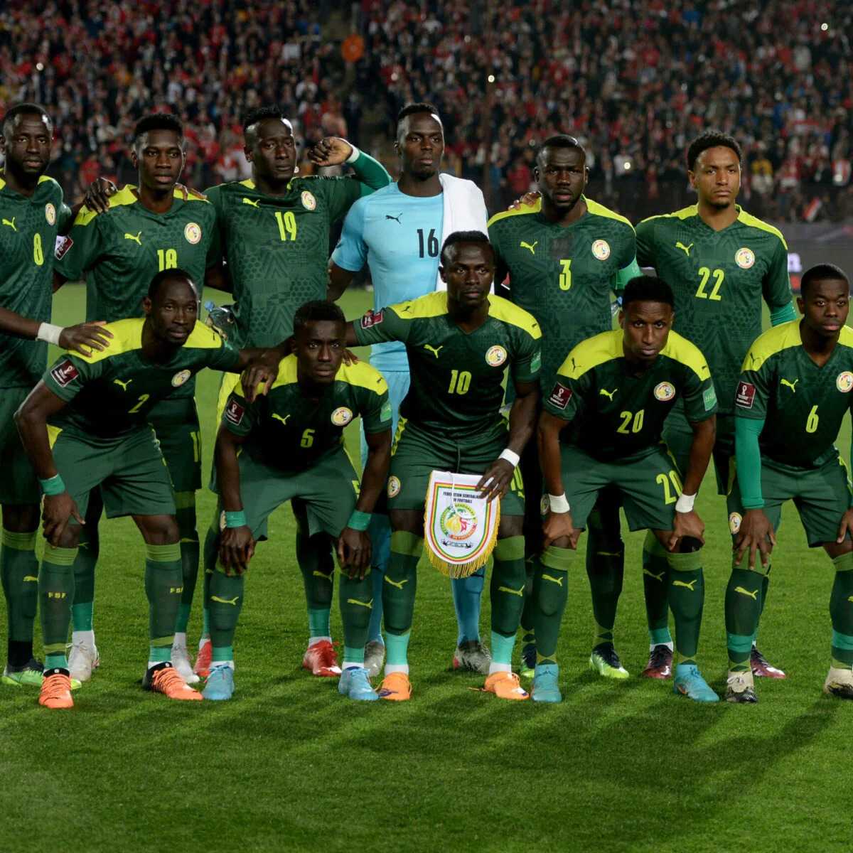 FIFA 23 Milli Takımlar: Afrika Milli Takımı