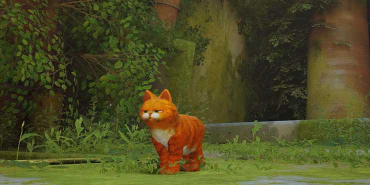 Garfield