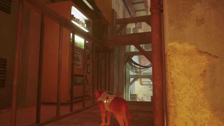 Stray Enerji İçeceği Konumları 2022