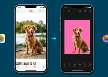 iOS 16 Fotoğraf Kopyalama ve Yapıştırma 2022