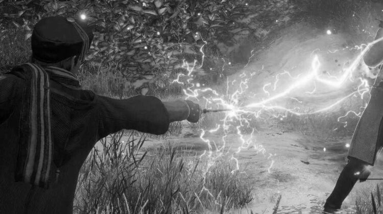 Hogwarts Legacy Bulmaca Türleri ve Çözümleri