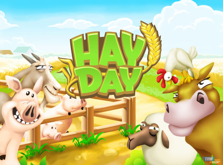 Hay Day Temmuz 2023 İçerik Üreticisi Kodları