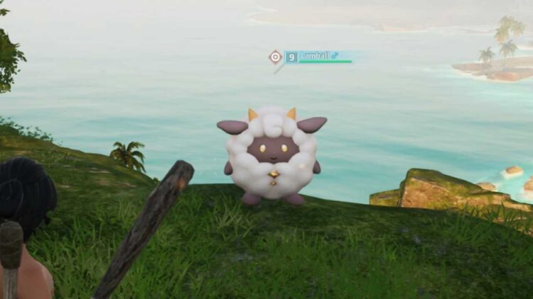 Пицунда абхазия медея. Медея михлик. Медея дачаева. Медея статуя. Скульптура медея в пицунде.