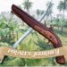 Pirates Journey