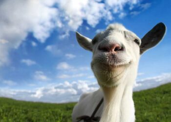 Steam Eğlenceli Oyunlar: Goat Simulator