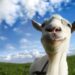 Steam Eğlenceli Oyunlar: Goat Simulator