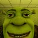 Shrek in The Backrooms Codes Nisan 2024
