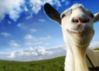 Goat Simulator Remastered